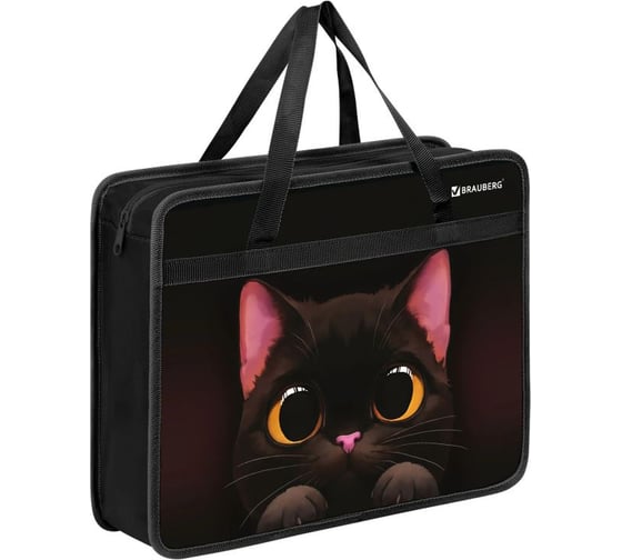 Изображение товара Папка на молнии BRAUBERG с ручками А4, 1 отделение, пластик, 80 мм, Big black cat, 274495