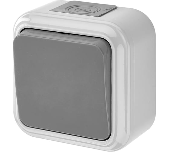 Изображение товара Выключатель Bylectrica 1-клавишная, открытая установка, 6А двухполюсный IP54, серия ПРАЛЕСКА АКВА, серый, А210-845 03