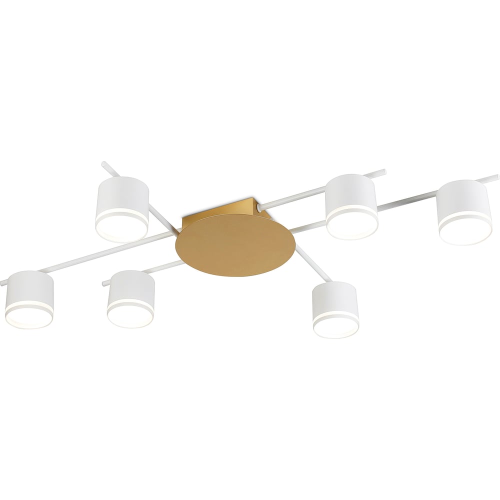 Изображение товара Светильник потолочный Ambrella Light /6 WH/GD белый/золото GX53/6 max 12 В 870х570х110 FL51755