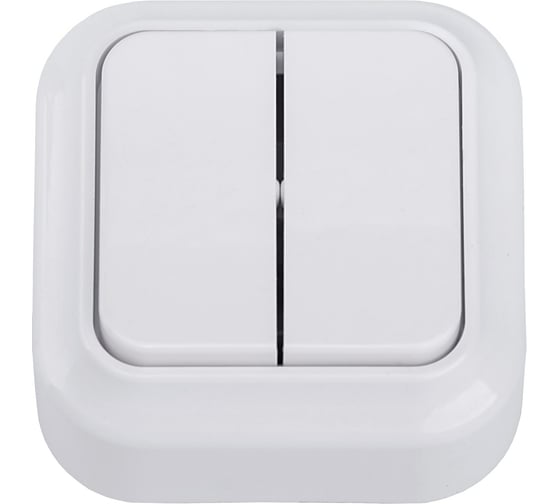 Изображение товара Выключатель Bylectrica 2-клавишная, открытая установка 10А, серия ВАРИАНТ, белый, А510-2102