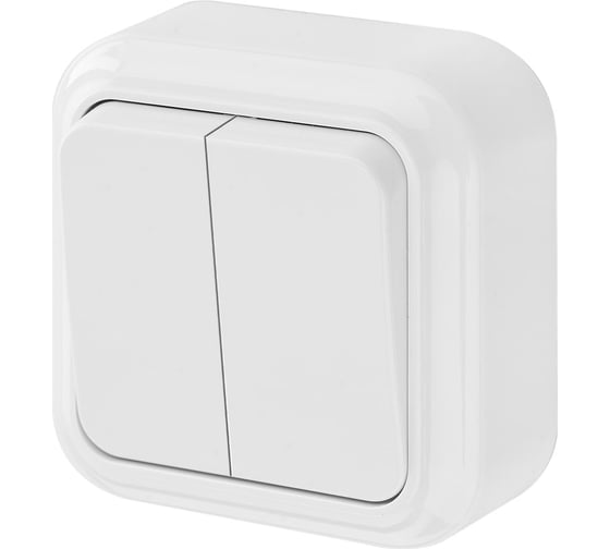 Изображение товара Выключатель Bylectrica 2-клавишная, открытая установка, 6 А, серия ПРАЛЕСКА, белый, А56-134