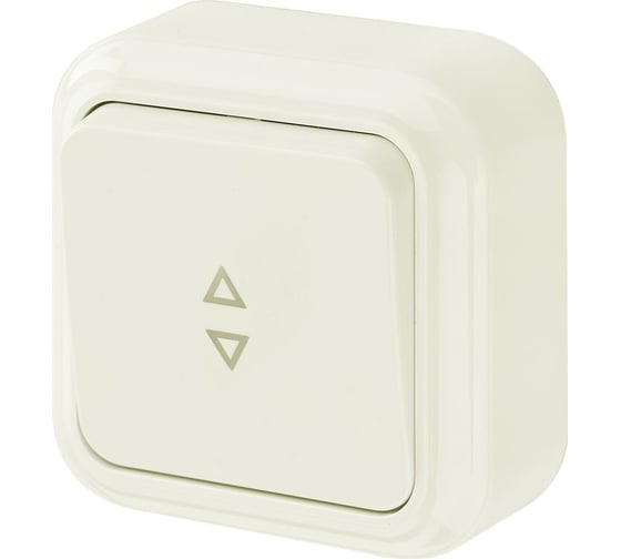 Изображение товара Выключатель Bylectrica 1-клавишный, открытая установка, 6А проходной, серия ПРАЛЕСКА, А610-147 бежевый