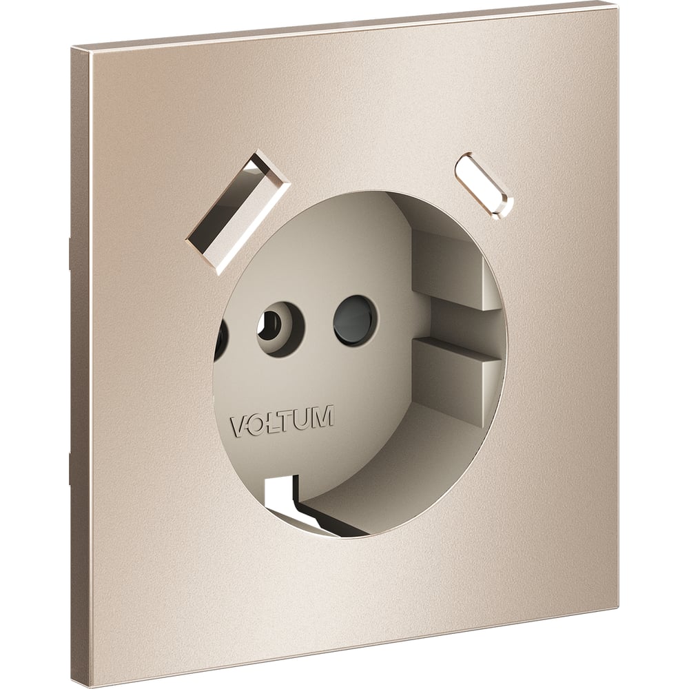 Накладка Voltum S70 Metal для розетки с заземлением и защитными шторками, с USB A+C, платина VLSM001010