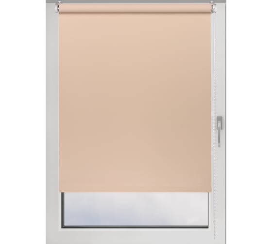 Изображение товара Рулонная штора PRAKTO Blackout Color 55x160 см, какао 8314214