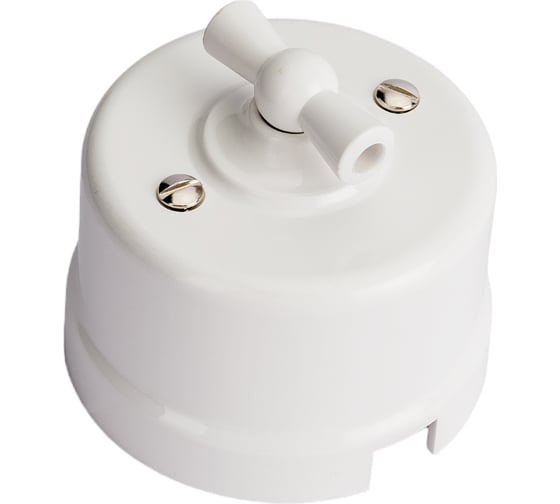 Изображение товара Переключатель BIRONI Пластик Белый 1-клавишный B1-201-21