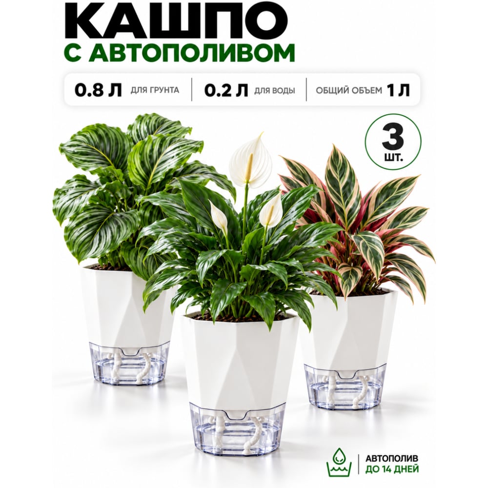 Изображение товара Набор кашпо с фитильным автополивом 1 л граненое BestRoom 3 шт 135-003 Изображение товара Набор кашпо с фитильным автополивом 1 л граненое BestRoom 3 шт 135-003