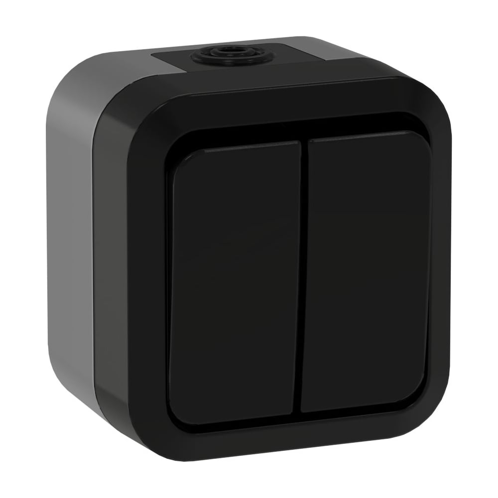 Выключатель двухклавишный проходной IEK TORS 10А IP55 TS125 графит TS-V22-0-10-55-K53