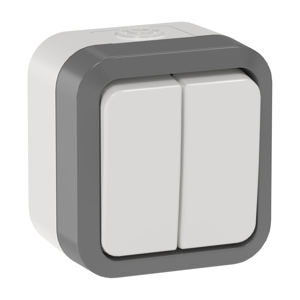 Выключатель двухклавишный проходной IEK TORS 10А IP55 TS225 сер-бел TS-V22-0-10-55-K41