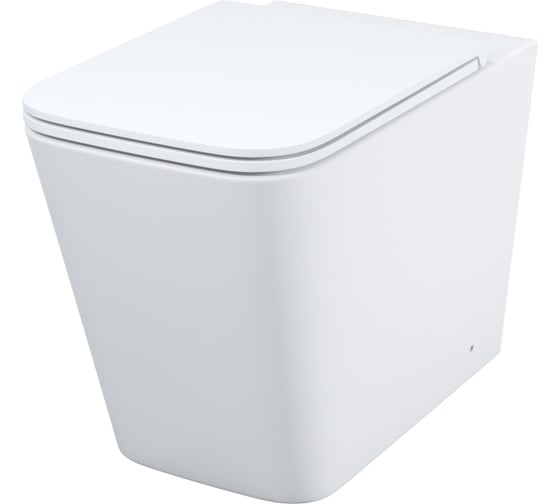 Изображение товара Приставной унитаз IDDIS Bild безободковый BILRDSEi26