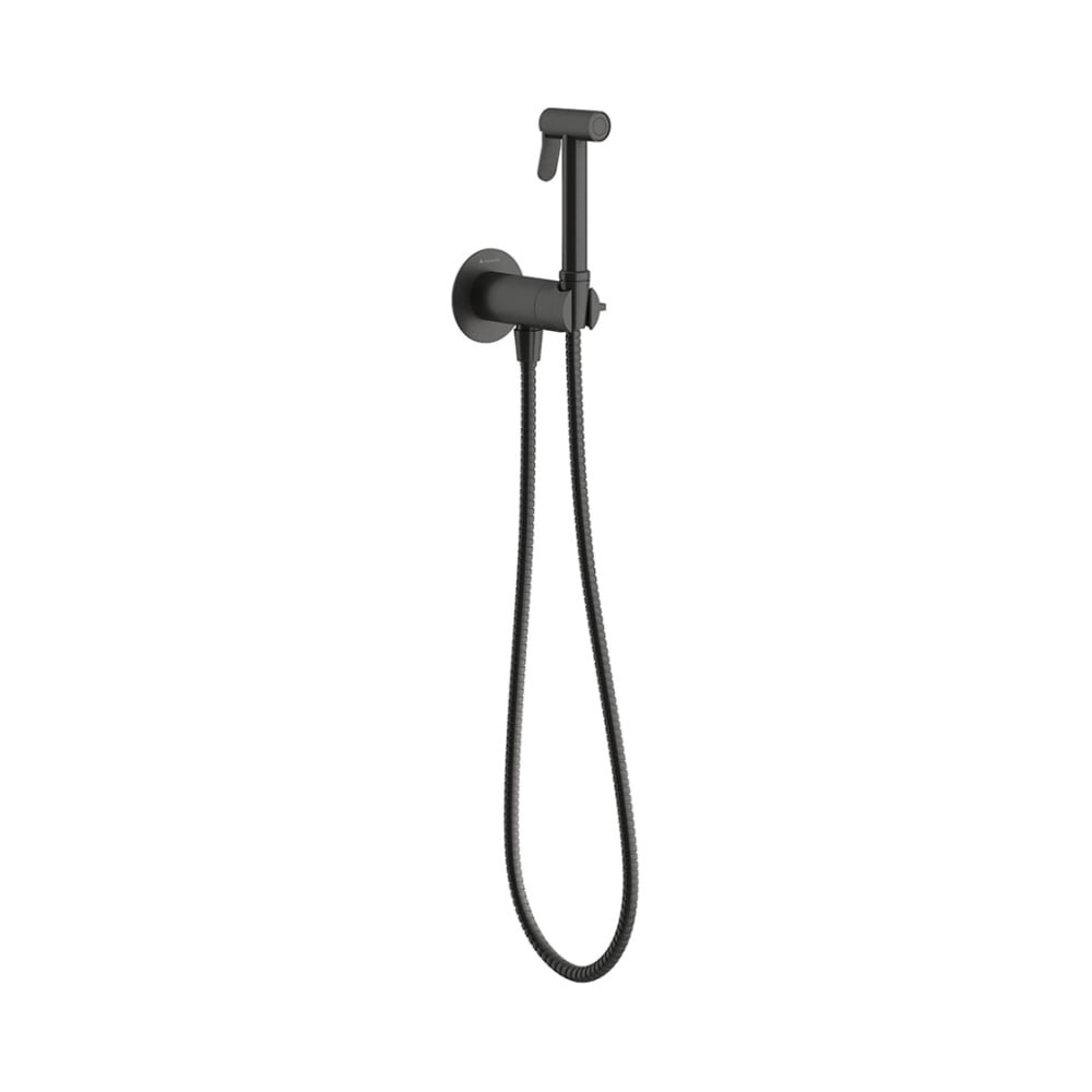 Изображение товара Смеситель скрытого монтажа с гигиеническим душем Aqueduto PUREZA AquaLock, со скрытой частью, оружейная сталь PUR0145