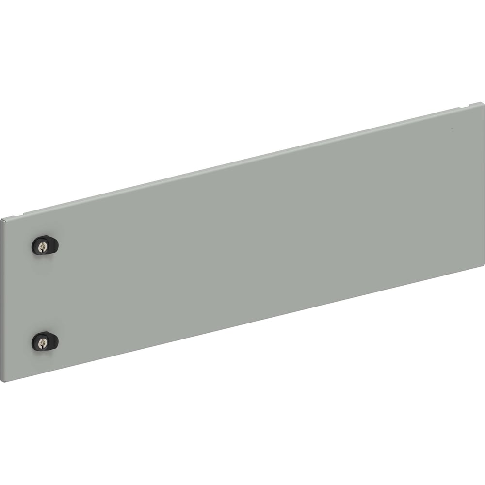 Дверь секционная внешняя IEK FORMAT 300х1000мм FO-00-ESD-030-100