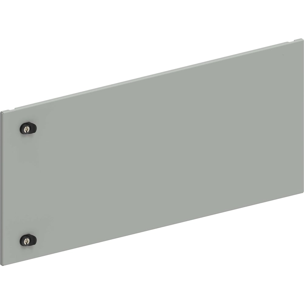 Дверь секционная внешняя IEK FORMAT 450х1000мм FO-00-ESD-045-100