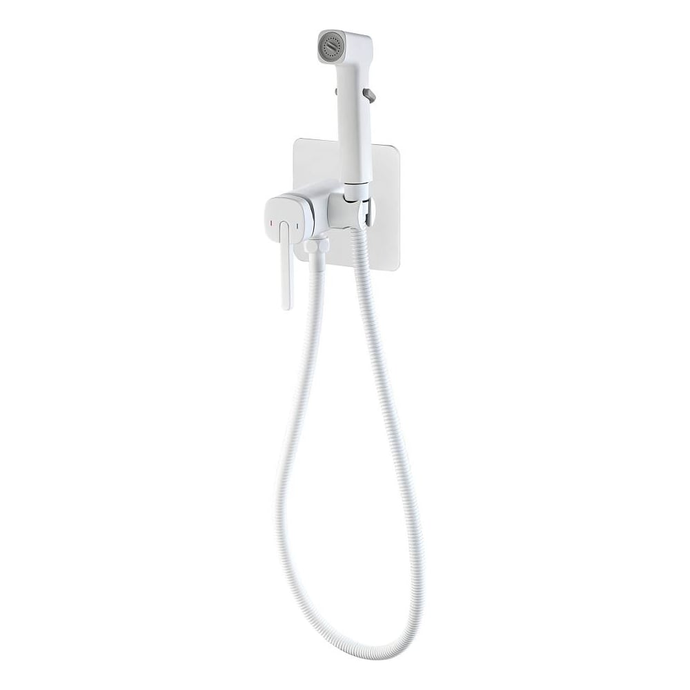 Встроенный гигиенический душ Rose R245C