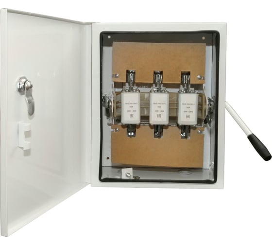 Изображение товара Ящик с рубильником TDM ELECTRIC ЯБПВУ-100А IP54 (с ПН-2) Народный SQ1603-0005