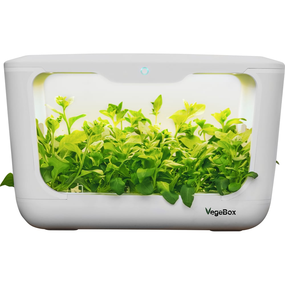 Домашняя садовая ферма Vegebox кефир асеньевская ферма 3 2 % бзмж 900 гр