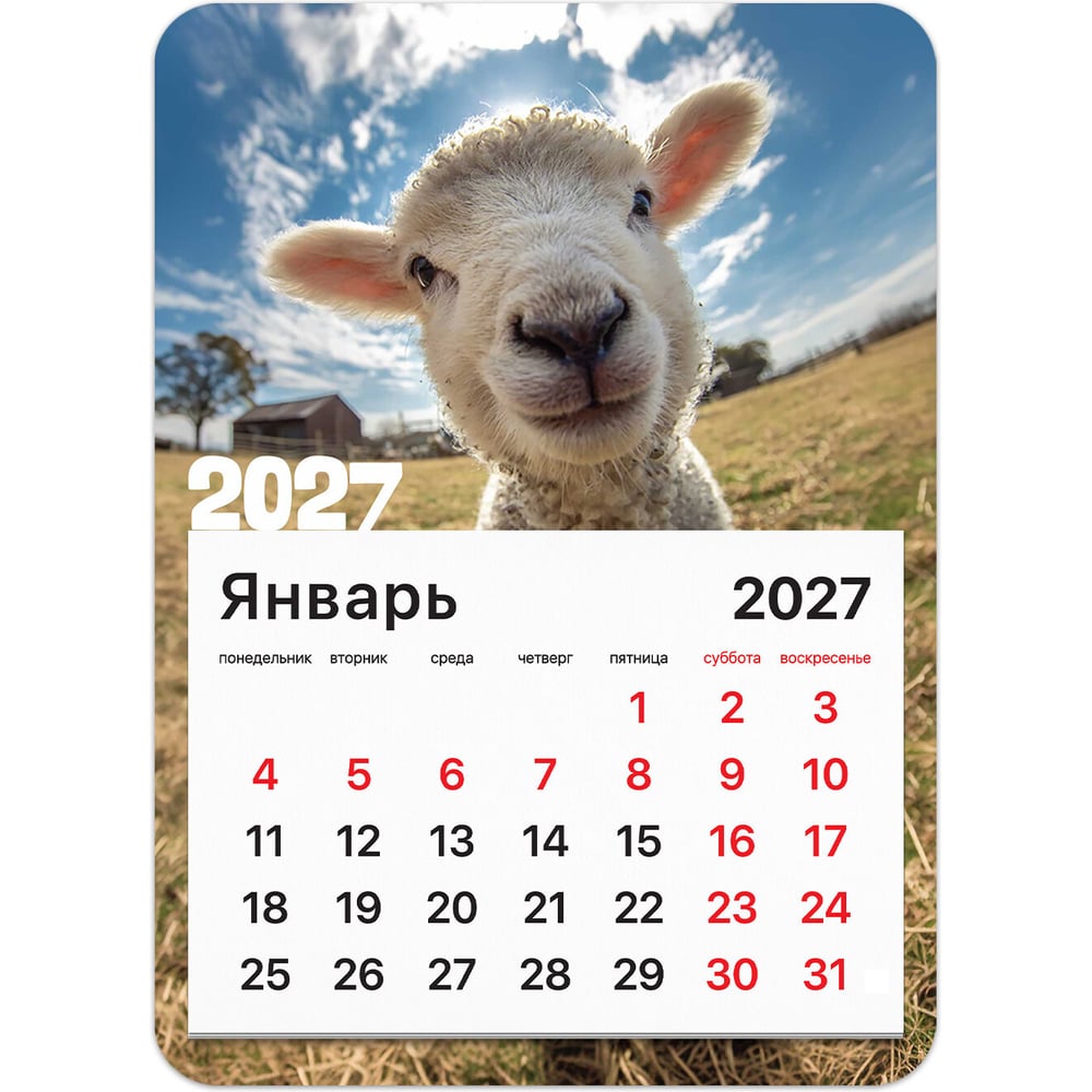 Календарь отрывной BRAUBERG на магните на 2027 г, 130×180 мм, склейка, Символ года, 118484