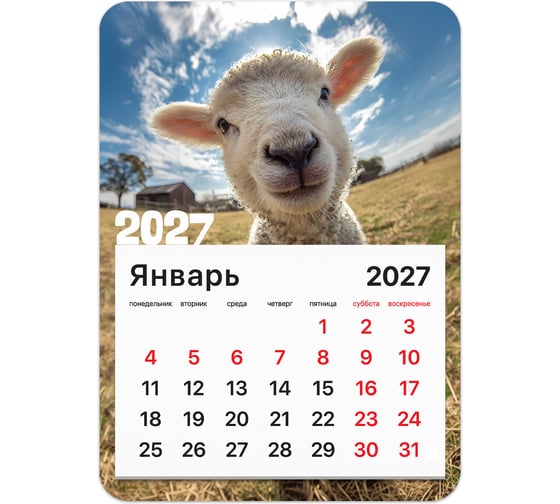 Изображение товара Календарь отрывной BRAUBERG на магните на 2027 г, 130×180 мм, склейка, Символ года, 118484