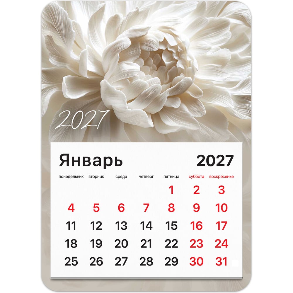 Календарь отрывной BRAUBERG на магните на 2027 г, 130×180 мм, склейка, Пион, 118336