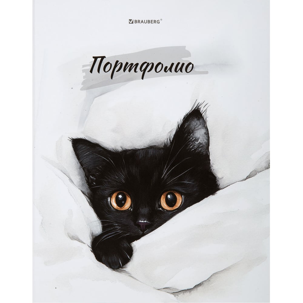 Изображение товара Папка-портфолио BRAUBERG универсальная 4 кольца А4 белая матовая Изображение товара Папка-портфолио BRAUBERG универсальная 4 кольца А4 белая матовая
