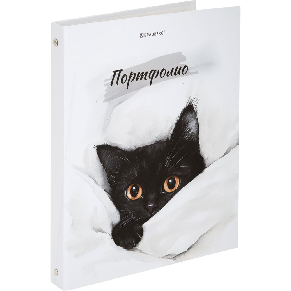 Изображение товара Папка-портфолио BRAUBERG универсальная 4 кольца А4 белая матовая