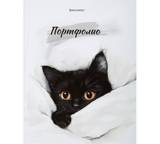 Изображение товара Папка-портфолио BRAUBERG универсальная, 4 кольца, 20 файлов, 7БЦ матовая, Cat, 107557, 117557