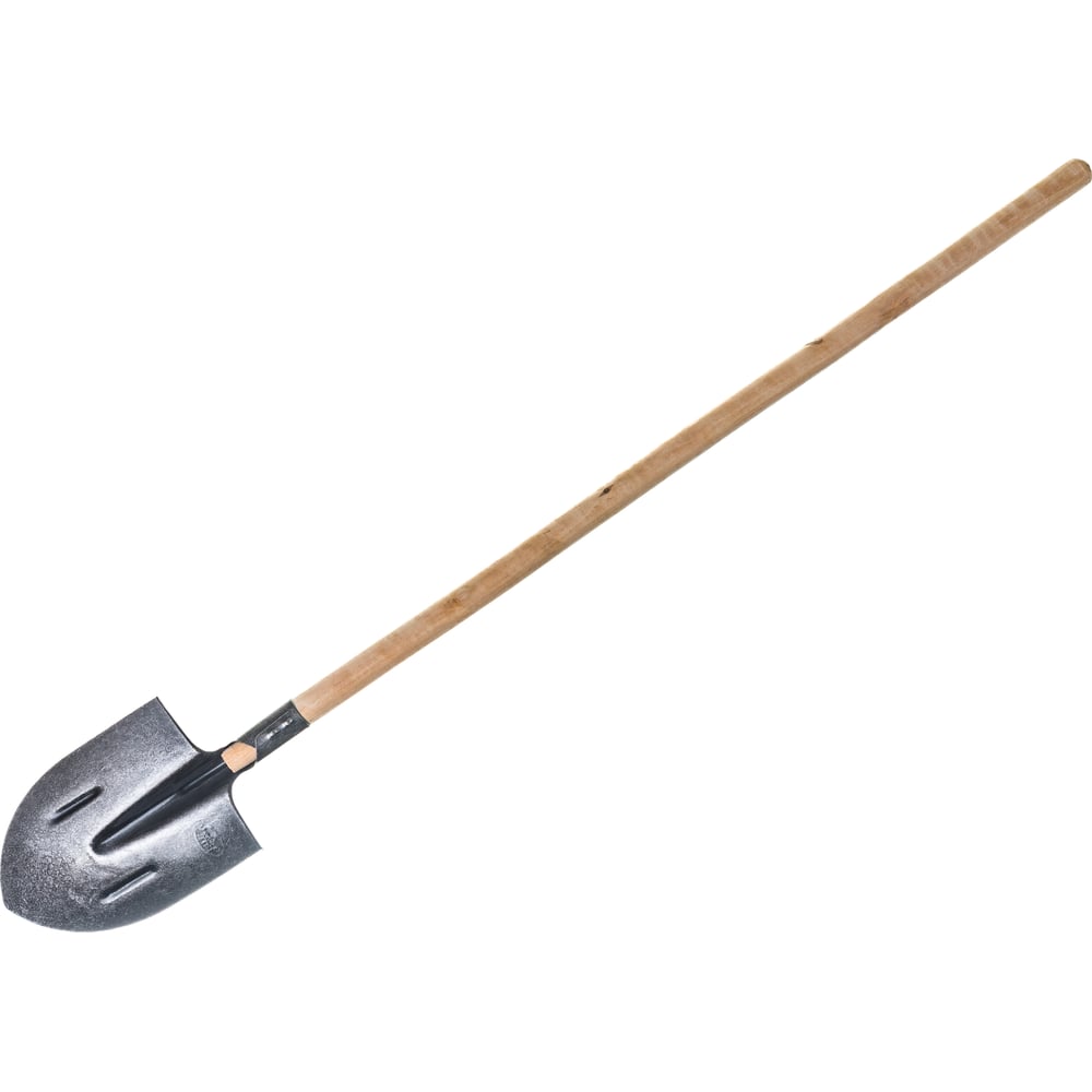 GBS-01