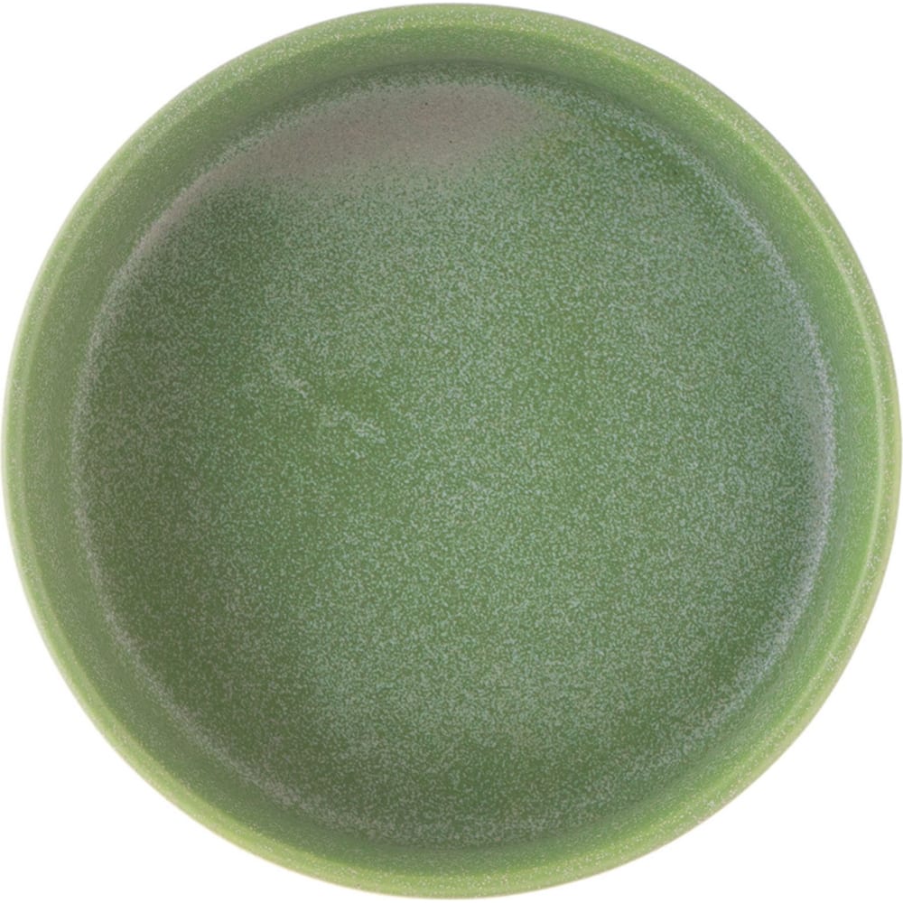 Салатник BILLIBARRI, цвет зеленый 806947204209 Old Clay - фото 1