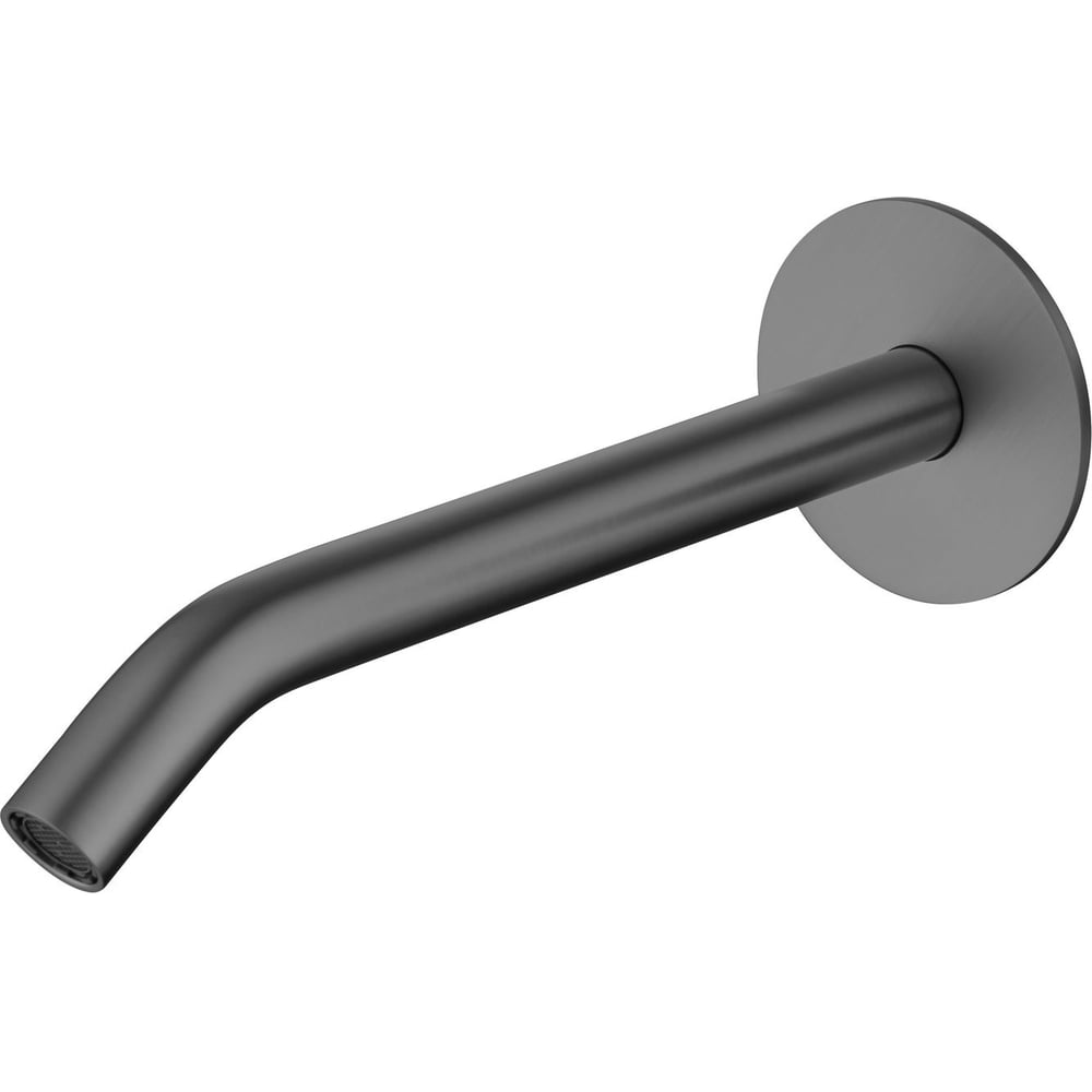 Излив из стены ALLEN BRAU 5.31A18-MG PRIORITY 3.0S, латунь, встраиваемый, 166 мм, графит браш, 345421, 00345421