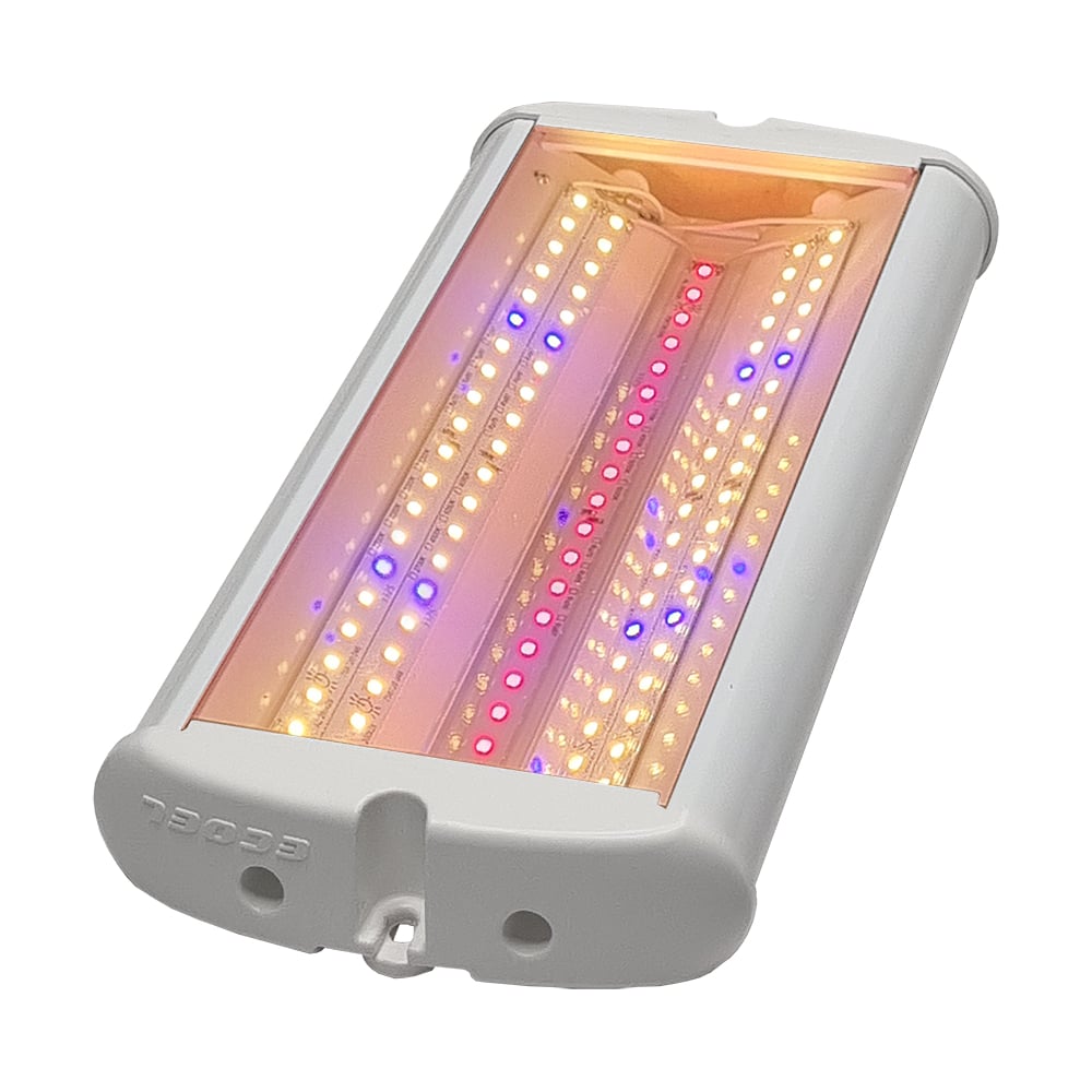 Изображение товара Светильник LED Экоэл ЛУЧ-40.3К+BR.Д IP54 для улицы и помещений Изображение товара Светильник LED Экоэл ЛУЧ-40.3К+BR.Д IP54 для улицы и помещений