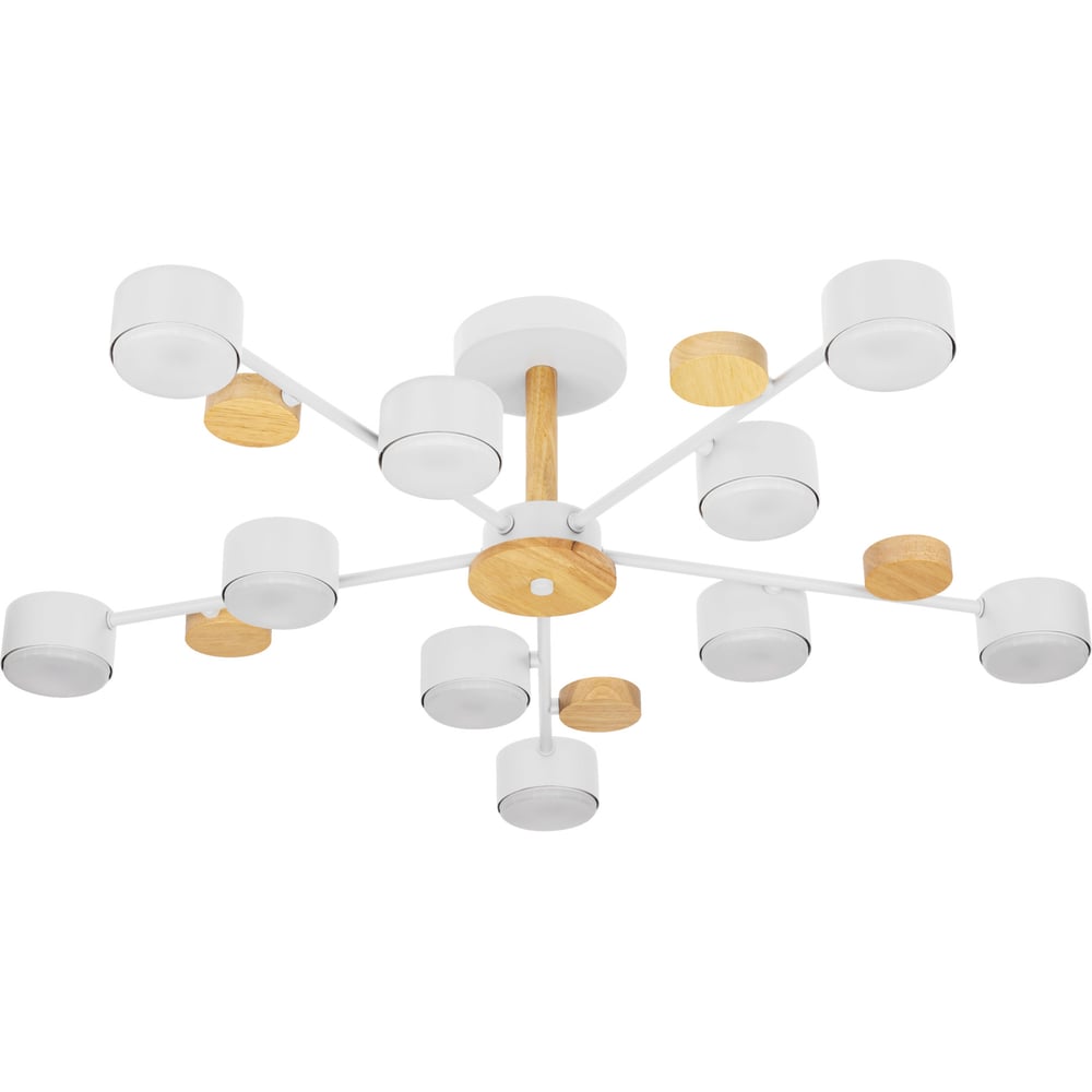Изображение товара Современная потолочная люстра RITTER AGIO с 10 LED-лампами GX53 Изображение товара Современная потолочная люстра RITTER AGIO с 10 LED-лампами GX53