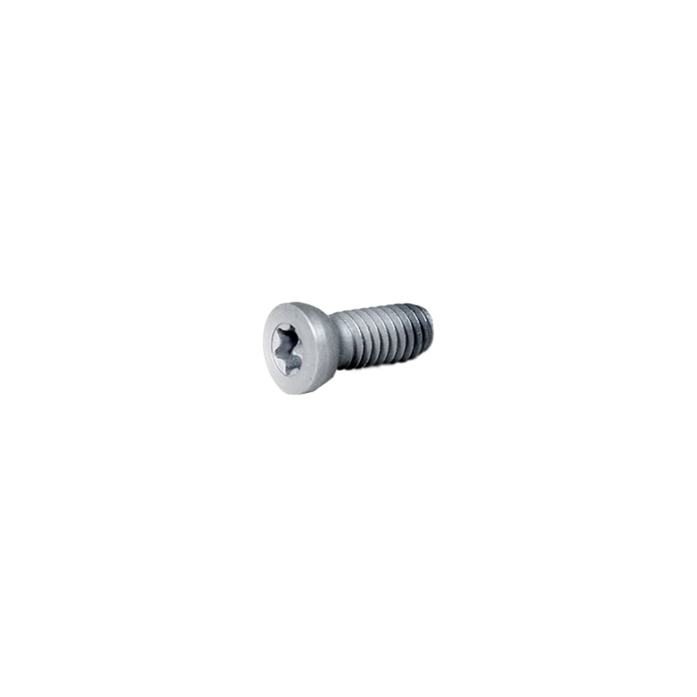 Винт М4 TORX T15 CST4010 для механического крепления пластин Русский Инструмент ri.486.141