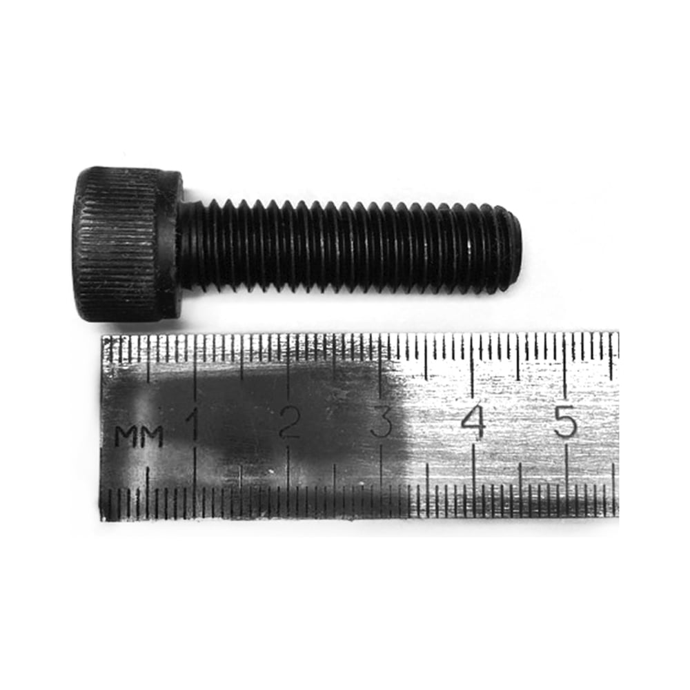 Винт Русский Инструмент М10 внутренний шестигранник 8 WS10035 ri.486.64