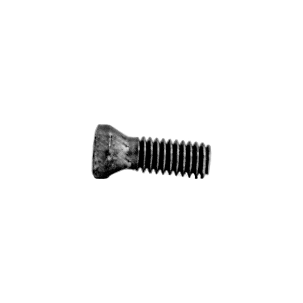 Винт Русский Инструмент М2.5x8 ri.486.43