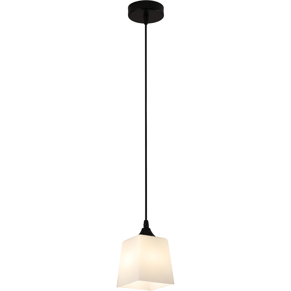 Изображение товара Светильник ESCADA 160003/1P E27*60W Black ES0000025