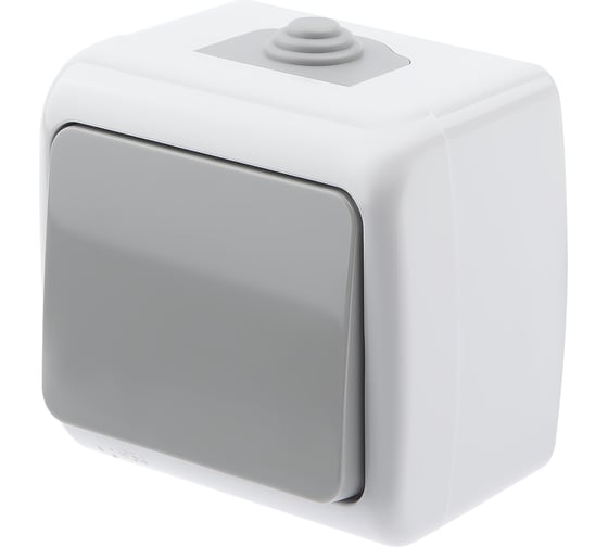 Изображение товара Выключатель Intro Atlantic 5-101-03 10А-250В IP54 открытой установки серый Б0050940