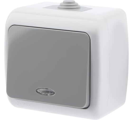 Изображение товара Выключатель Intro Atlantic 5-102-03 с подсветкой 10А-250В IP54 открытой установки серый Б0050941