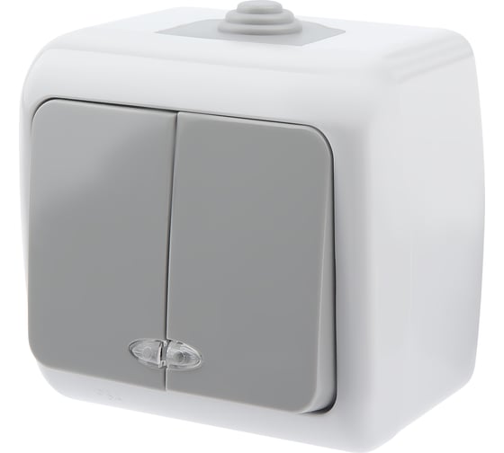 Изображение товара Выключатель Intro Atlantic 5-105-03 двойной с подсветкой 10А-250В открытой установки серый Б0050944