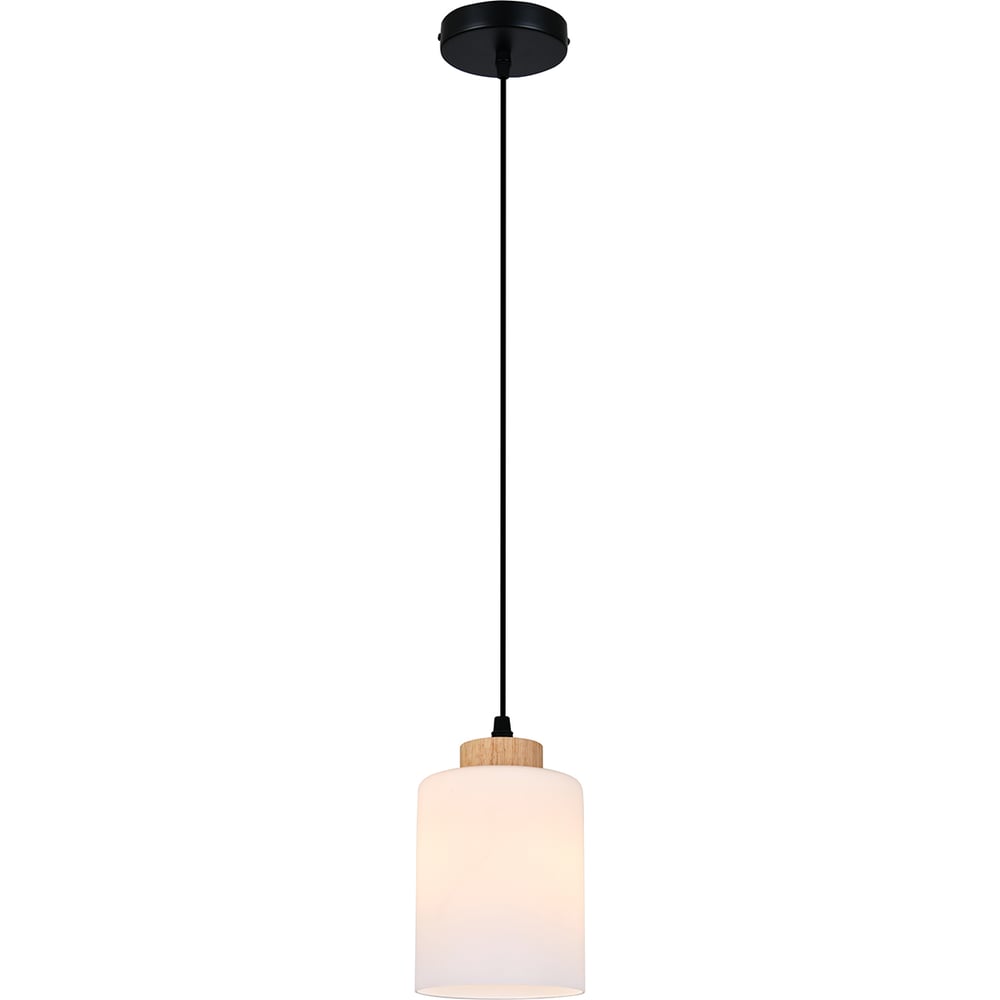 Изображение товара Светильник ESCADA 160002/B/1P E27*60W Black ES0000016 Изображение товара Светильник ESCADA 160002/B/1P E27*60W Black ES0000016