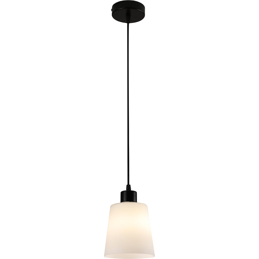 Светильник ESCADA 120004/1P E27*60W Black ES0000041