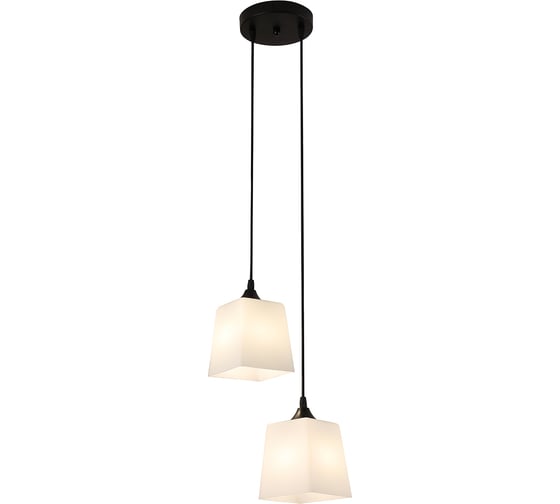 Изображение товара Светильник ESCADA 160003/2P E27*60W Black ES0000026