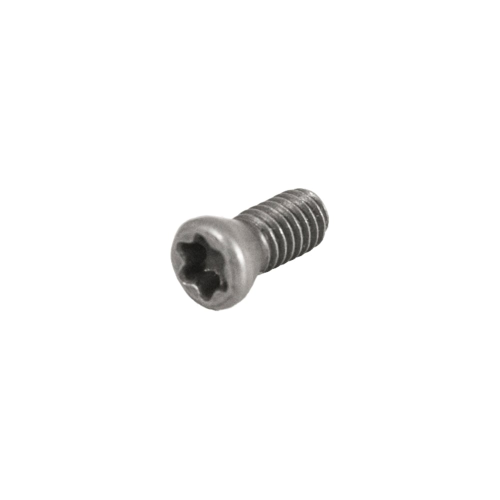 Винт Русский Инструмент М2,5 TORX T08 L60M2.5x6 для механического крепления пластин ri.486.82