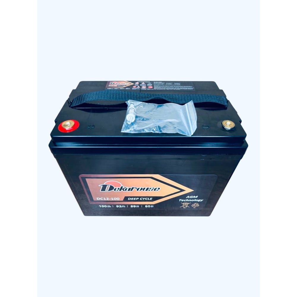 Тяговый аккумулятор Dekarouse 100 Ач (AGM) прям. пол. 260х168х214 DC12-100