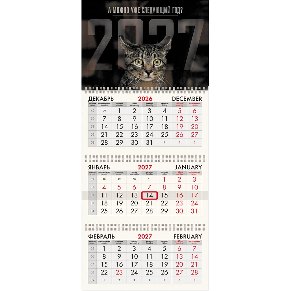 Календарь квартальный 2027г BRAUBERG, 3 блока 3 гребня бегунок, мел.бум,, Sad cat, 118406