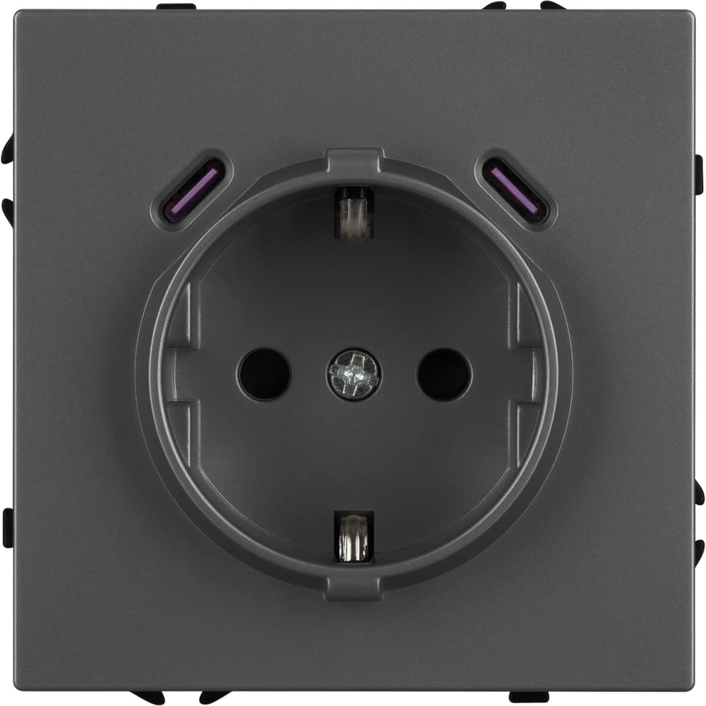 Механизм розетки с USB зарядкой Arlight SCT-NOBE-MUCC-SFPL-GR 1шт 061816