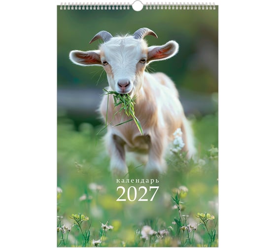 Изображение товара Календарь на гребне с ригелем 2027г BRAUBERG, 12 листов, 30х45см,, Символ года, 118384