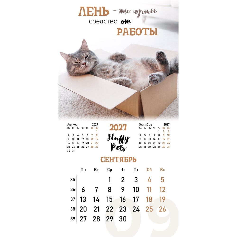 Изображение товара Календарь настенный перекидной 2027 г.,12 листов, 28,5х28,5 см, "Смешные котики", BRAUBERG 118430