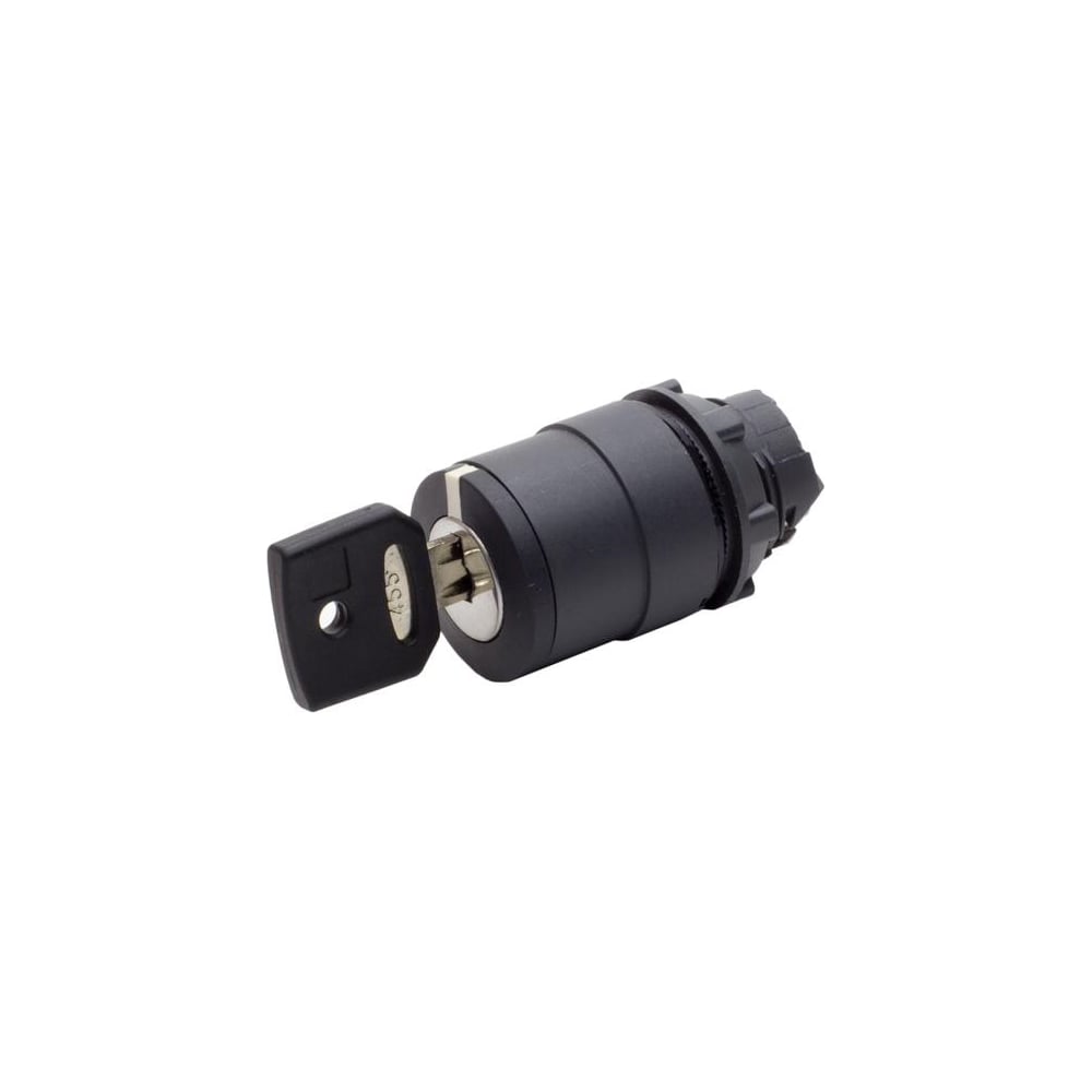 Переключатель с ключом Briswik 3 положения с фиксацией пластик Ø22 мм IP66 ZB5EG3.66.BR