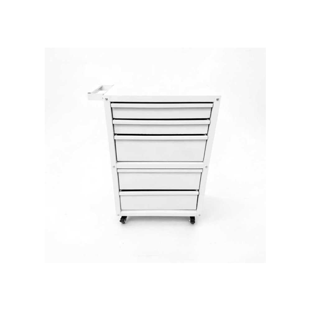 Тележка ILIKPRO Рокки 23, 5 ящиков, белая 9003 RSBV-23.550.350.9003