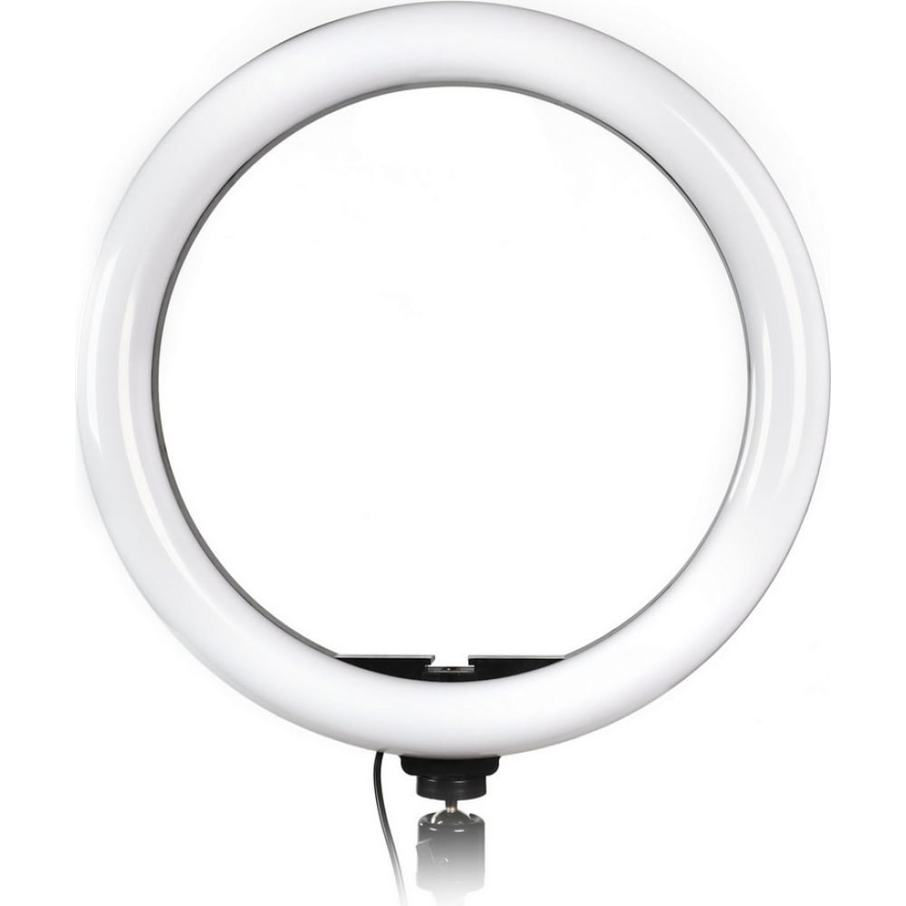Кольцевая светодиодная лампа для фото/видео съемки Smartbuy лампа кольцевая светодиодная smartbuy 30см