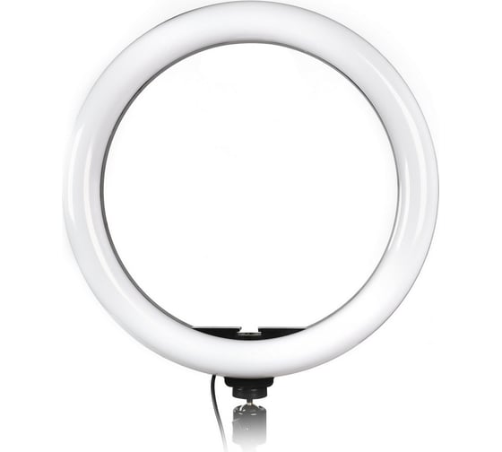 Изображение товара Кольцевая светодиодная лампа Smartbuy 26 см с держателем для телефона, для фото/видео съемки SBL-TTL-10